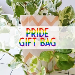 May include: A rainbow-coloured gift bag with a chevron pattern. The bag is made of paper and has a white background with orange and brown chevron stripes. The text "PRIDE GIFT BAG" is printed in rainbow colours on the front of the bag.