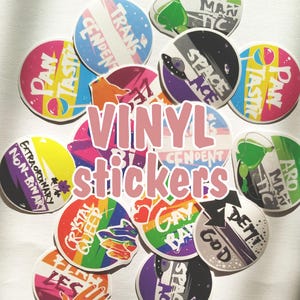 Vinylstickers LGBTQ+ PRIDE PUNS | aseksueel aromantisch panseksueel lesbisch transgender demiseksueel biseksueel niet-binaire homo queer