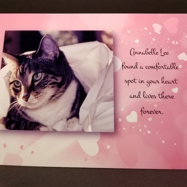 Personalized Cat Sympathy Card