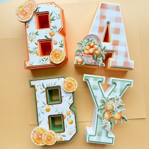 Letras y números personalizados en 3D para baby shower de una preciosidad / Una pequeña preciosidad está en camino Baby Shower naranja / Bebé niña niño de género neutro