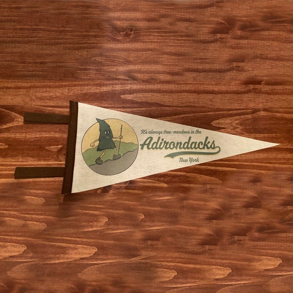 Adirondacks Rubber Hose Inspired Retro Pennant - Adirondack Pennant - Adirondack Wall Art - Adirondacks Gift - Funny Adirondack Gift