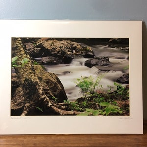 Adirondack Stream Cascading Waterfall Art Print 8x12 Print Matted 11x14, Wall Art, ADK Decor, Adirondack Print, ADK Gifts, Photo Gift, Fern