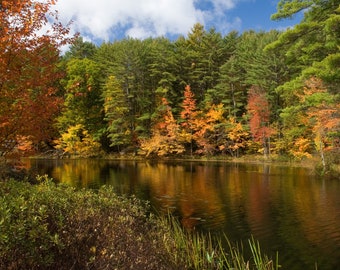 Adirondack Fall Foliage Photo Print, Canvas Print, Wall Art, Adirondack Art, ADK Decor, Adirondack Print, Adirondack Gifts, Fourth Lake