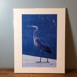 Great Blue Heron Fine Art Print 8x12 Print Matted 11x14, Wall Art, Lake George Decor, Adirondack Print, Photo Bird Gift Heron on Lake George