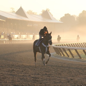 Saratoga Track Fine Art Photo Print, Canvas Print, Wall Art, Saratoga Art, Saratoga Decor, Saratoga Print, Saratoga Gifts