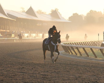 Saratoga Track Fine Art Photo Print, Canvas Print, Wall Art, Saratoga Art, Saratoga Decor, Saratoga Print, Saratoga Gifts