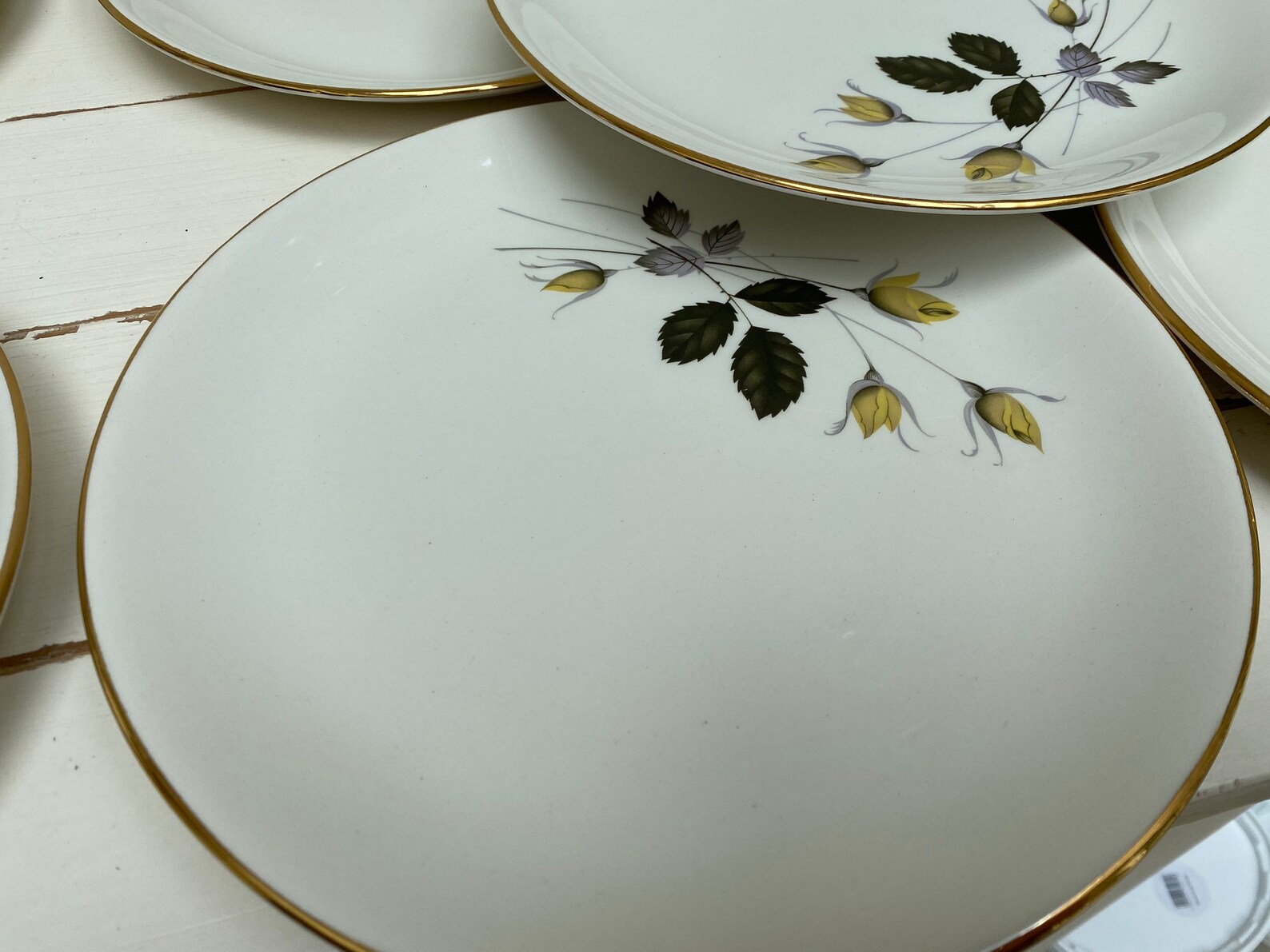 Swinnertons nestor Vellum 10 Plates & 1 Serving Oval Plate Etsy