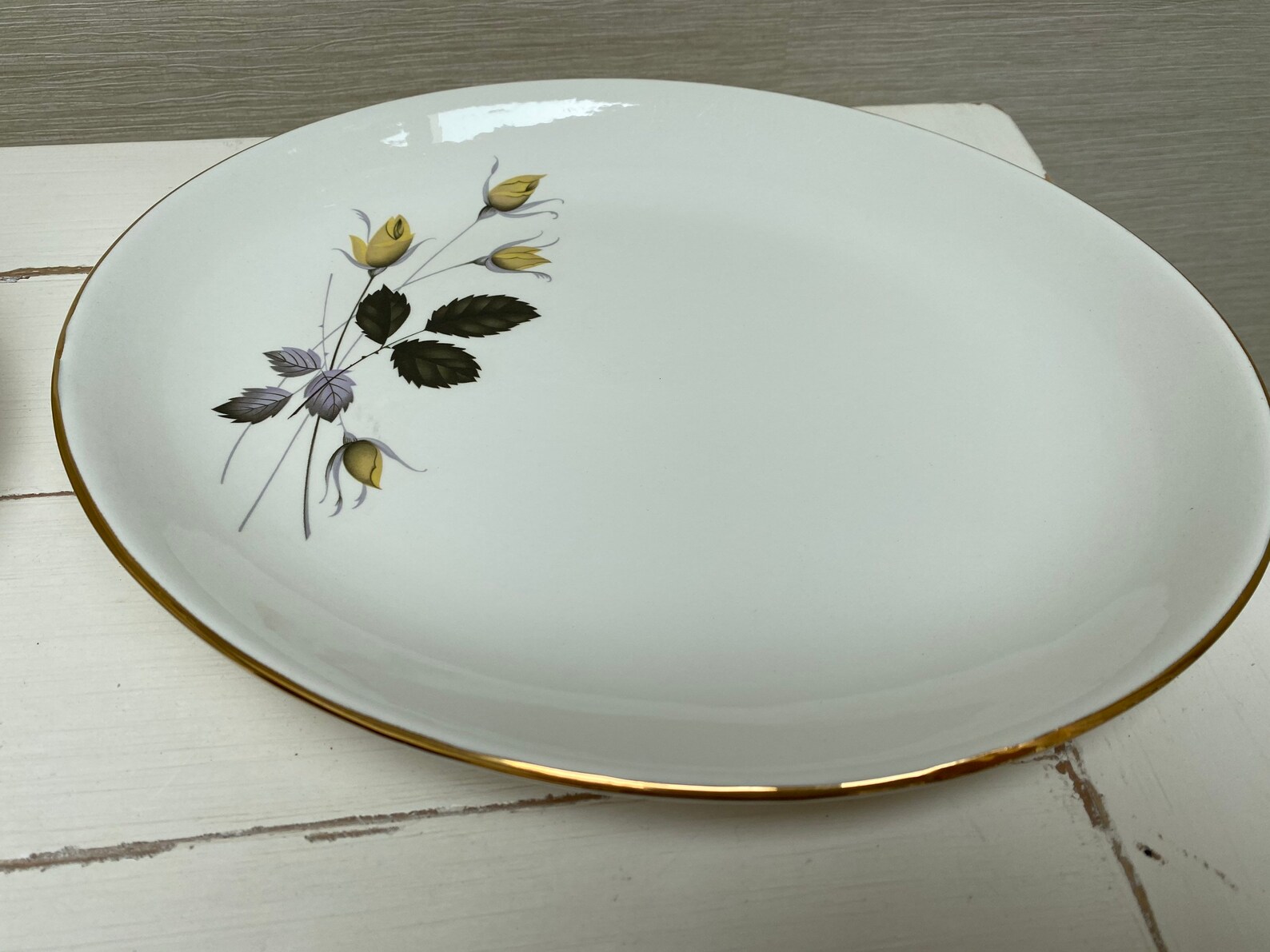 Swinnertons nestor Vellum 10 Plates & 1 Serving Oval Plate Etsy