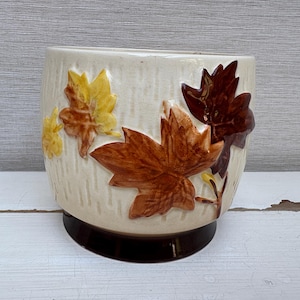 May include: A white ceramic planter with a brown rim and a design of brown and yellow leaves.