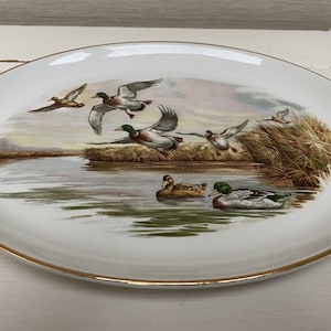 Vintage Royal Falcon Ironstone Oval Serving / Collectable Plate - Ducks