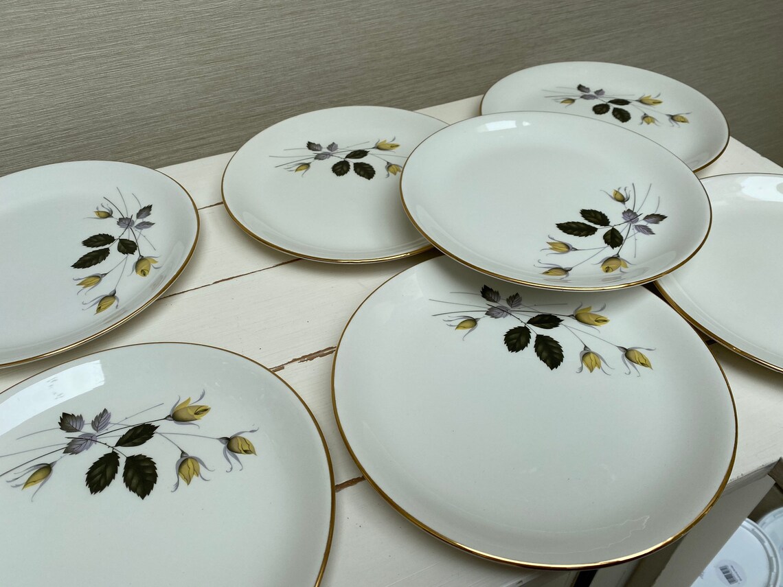 Swinnertons nestor Vellum 10 Plates & 1 Serving Oval Plate Etsy