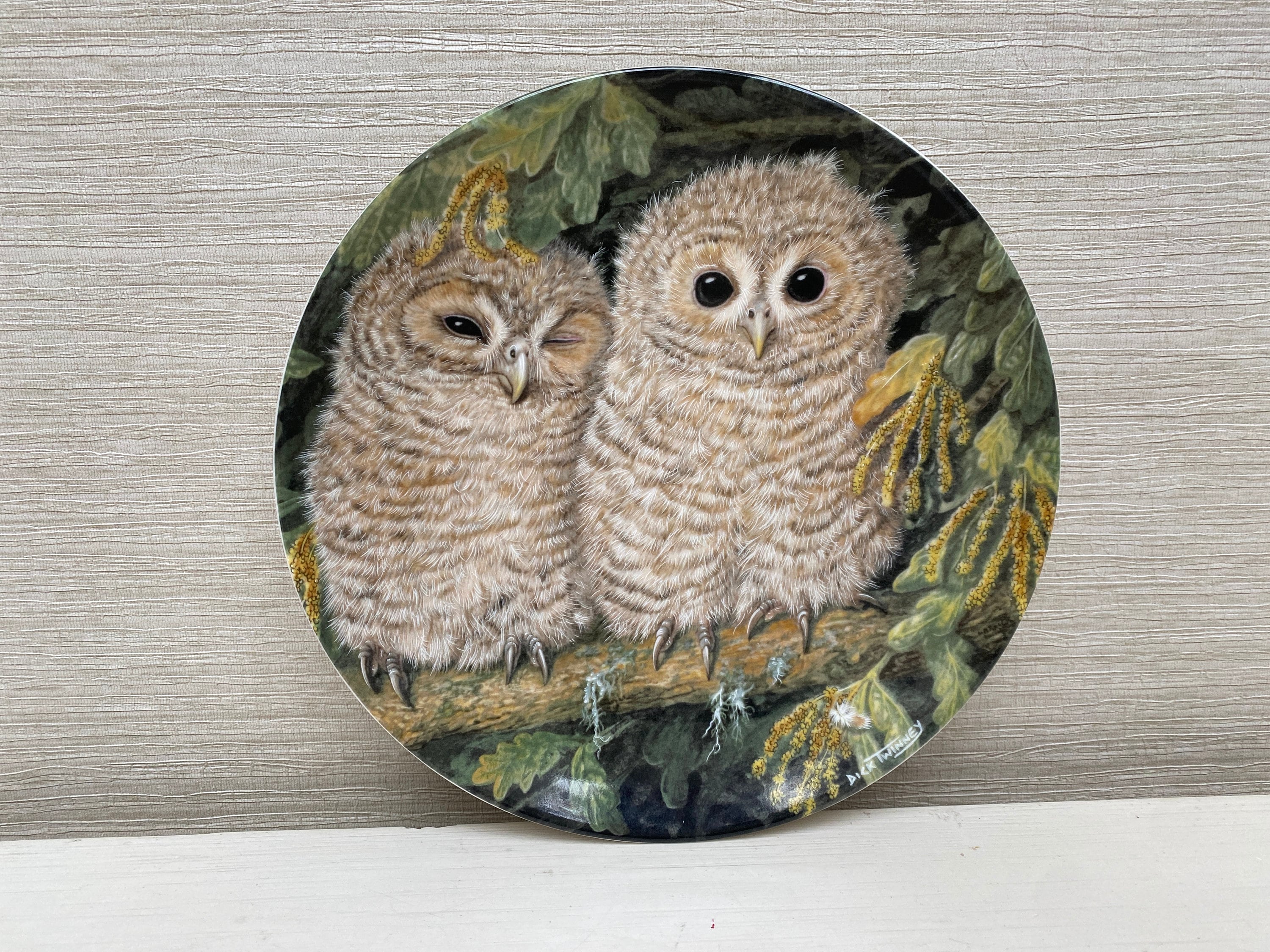 Wedgwood Bone China Collectors Plate The Baby Owls Collection Tawny Owl Chicks