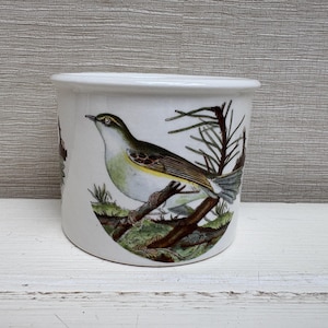 Könnte beinhalten: Weißer Keramik-Pflanztopf mit einer detaillierten Illustration eines Vogels auf einem Ast. Der Vogel hat ein grünes, braunes und gelbes Gefieder. Der Topf hat einen leicht ausgestellten Rand und eine glatte, glänzende Oberfläche. Der Hintergrund ist hellgrau.
