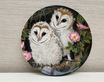 Placa de coletores Wedgwood Bone China The Baby Owls Collection Barn Owl Chicks