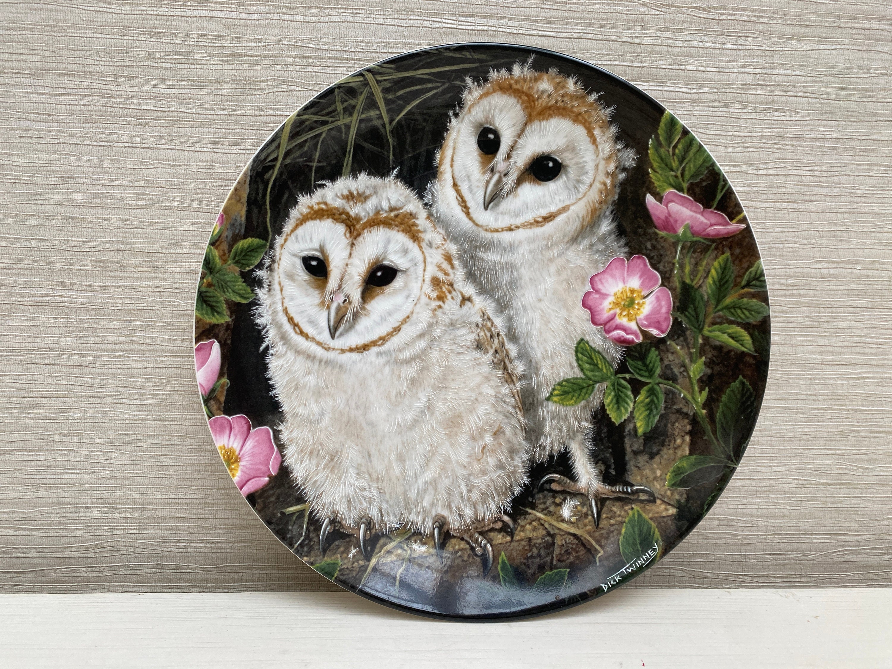 Wedgwood Bone China Collectors Plate The Baby Owls Collection Barn Owl Chicks