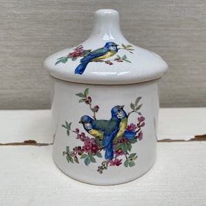 Vintage Withypot Bideford North Devon Birds Jam / Conserve Jar and Lid