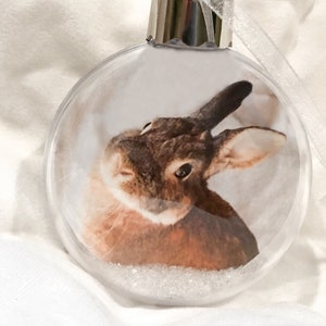 Custom Bunny, Dog, Cat, Animal Ornament - Custom Photo Ball Ornament - Your Photo and Personalized Message - With Glitter