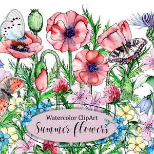 Summer Flowers Clipart, Watercolor Meadow Flowers, Watercolor Wildflowers, PNG Plant Clipart.PNG, Scrapbooking