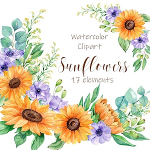 Clipart de aquarela de girassóis, flor realista, erva de verão, convite floral, cartões comemorativos, convites digitais, álbum de recortes