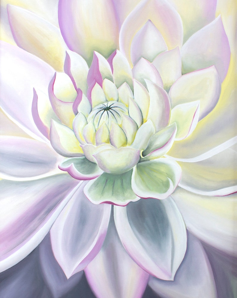 May include: A close-up of a white flower with pink and green hues. The flower is in full bloom and the petals are soft and delicate.