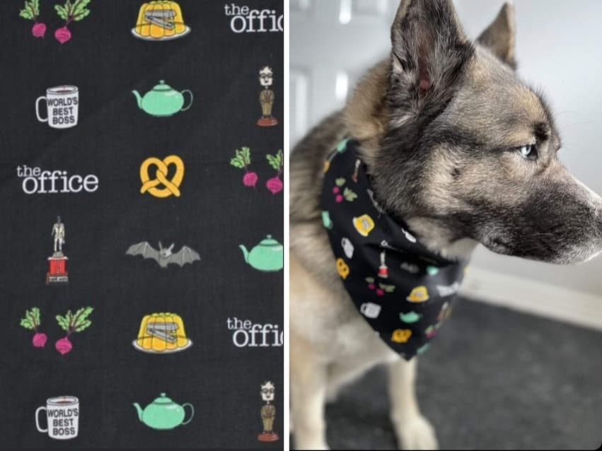 The office dog best sale bandana