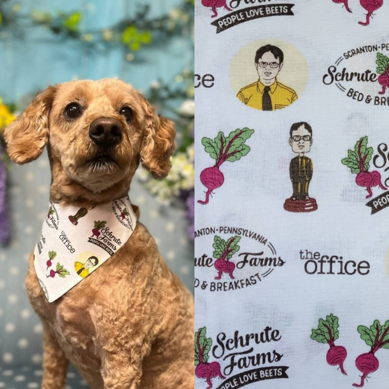 Cute Hand Drawn Neutral Aesthetic Fall Set Pet Bandana for Sale by  TheEclecticKat