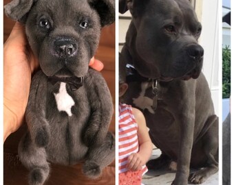 pitbull teddy bear