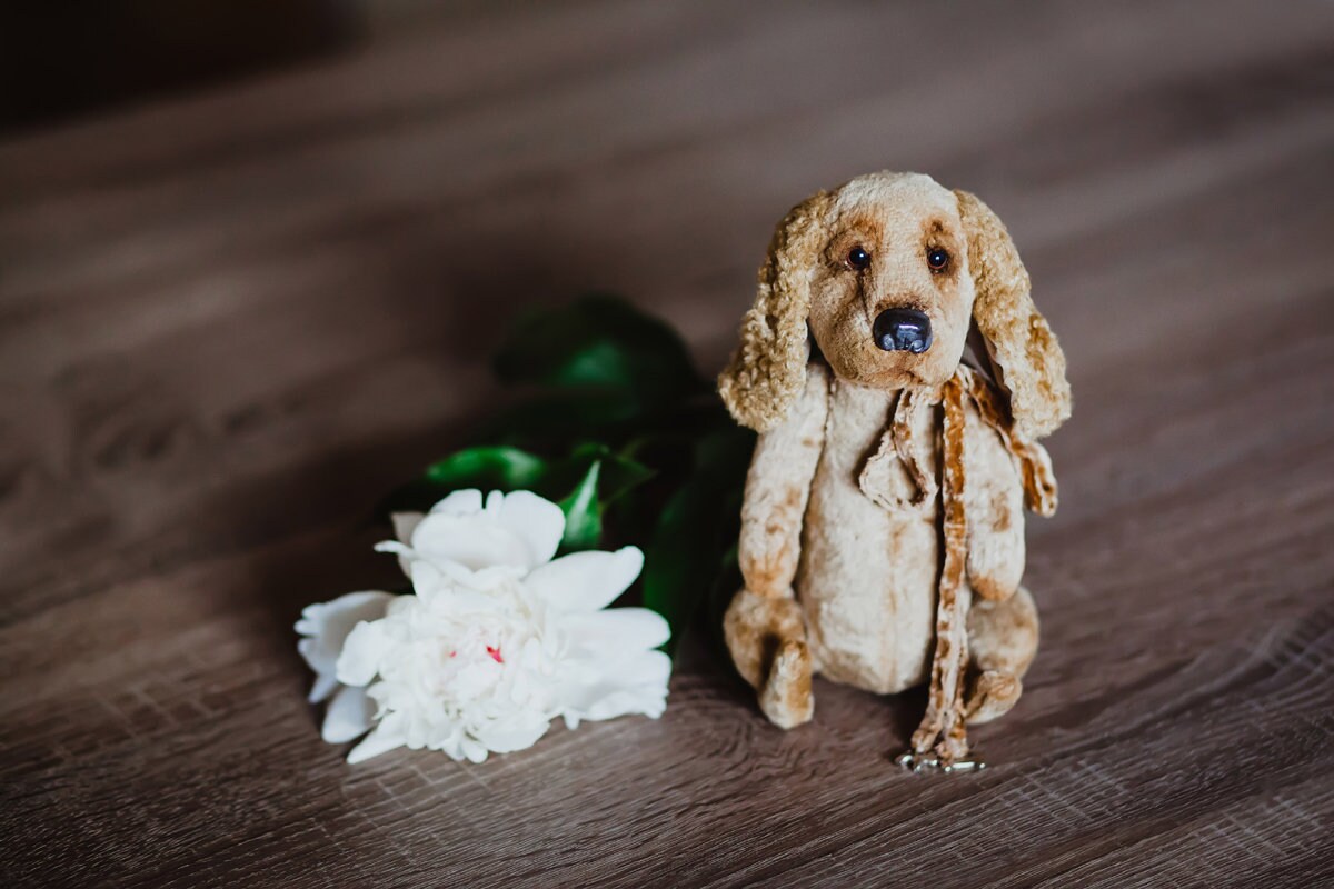 cocker spaniel teddy bear