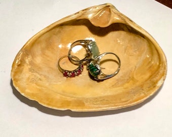 Seashell ring dish | Etsy