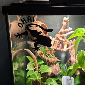 Crested gecko enclosure vinyl decal