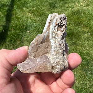 May include: A close-up of a rough, gray and brown rock with white, crystalline formations. The rock is being held in a hand.