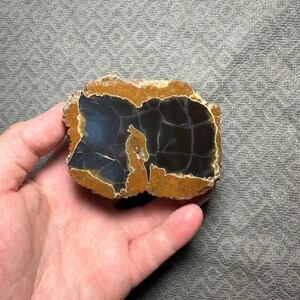 Oregon-agaat Thunderegg, Richardson&#39;s Rock Ranch, gepolijste Oregon-agaat, displayexemplaar, lapidair verzamelstuk, woondecoratie, edelstenen