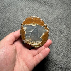 Oregon-agaat Thunderegg, Richardson&#39;s Rock Ranch, gepolijste Oregon-agaat, displayexemplaar, lapidair verzamelstuk, woondecoratie, edelstenen
