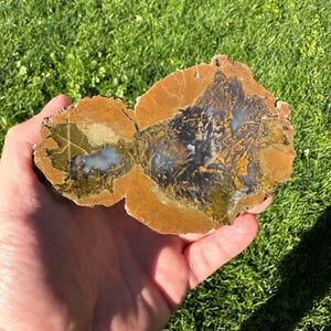 Oregon Moss Agate Thunderegg, Richardson&#39;s Rock Ranch, Polished Oregon Agate, Display Specimen, Lapidary Collector Piece, Home Decor, Gems
