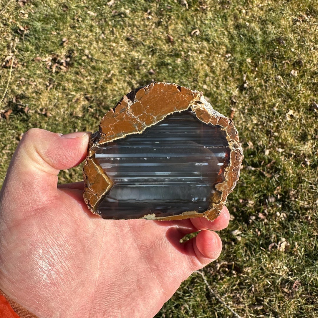 Oregon Agate Thunderegg, Richardson's Rock Ranch, Polished Oregon Agate ...