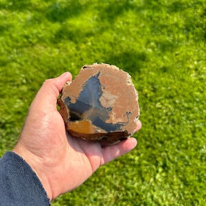 Oregon-agaat Thunderegg, Richardson&#39;s Rock Ranch, gepolijste Oregon-agaat, displayexemplaar, lapidair verzamelstuk, woondecoratie, edelstenen