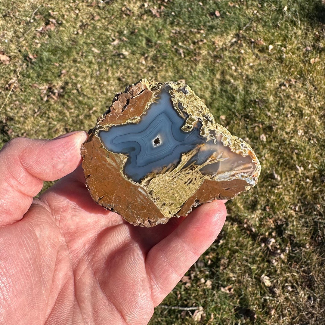 Oregon Agate Thunderegg, Richardson's Rock Ranch, Polished Oregon Agate ...