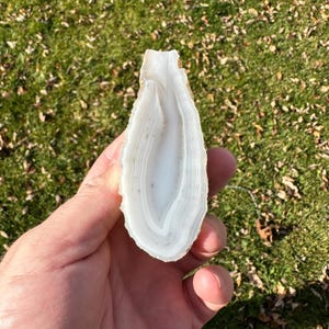 Oregon Banded Agate, Polished Oregon Agate, Large Display Specimen, Lapidary Collector Piece, Home Decor, Gemstones Polished Chalcedony
