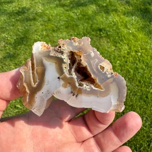 Oregon Agate Limb Cast, Polished Oregon Agate with Dendrites, Display Specimen, Lapidary Collector Piece, Home Decor, Gemstone