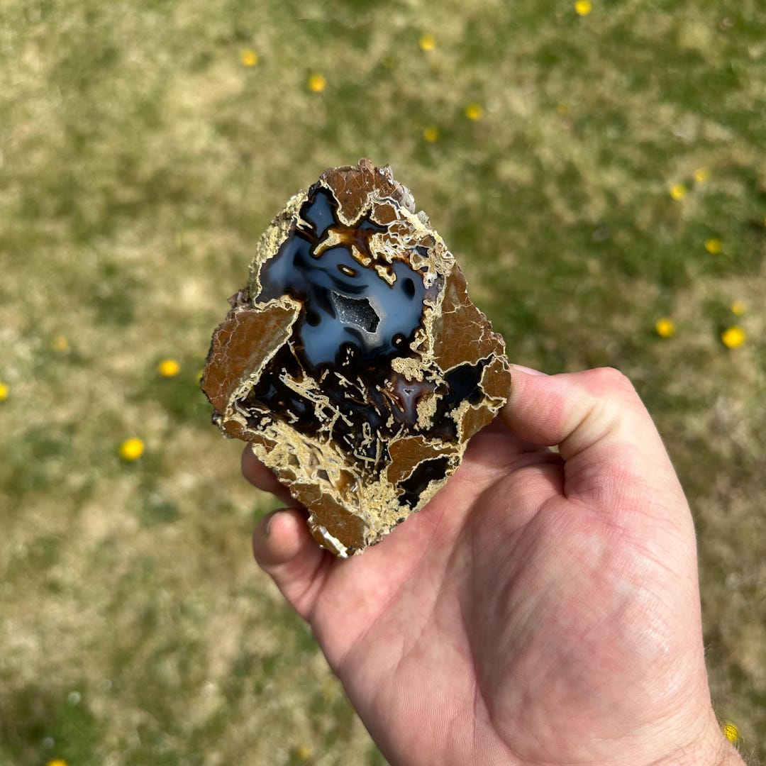 Oregon Agate Thunderegg, Richardson's Rock Ranch, Polished Oregon Agate ...