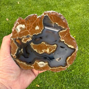 Oregon Agate Thunderegg, Richardson&#39;s Rock Ranch, Polished Oregon Agate, Display Specimen, Lapidary Collector Piece, Home Decor, Gemstones