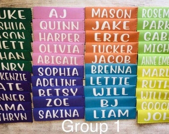 Soporte de paleta personalizado, paleta de hielo, funda de paleta, favor de fiesta, Fivesies Designs