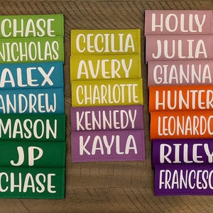 Personalized popsicle holder, ice pop, popsicle sleeve, party favor, Fivesies Designs