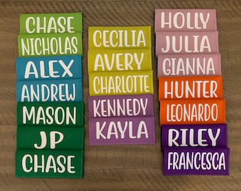 Porta paletas personalizado, paleta de hielo, manga de paleta, favor de fiesta, Fivesies Designs
