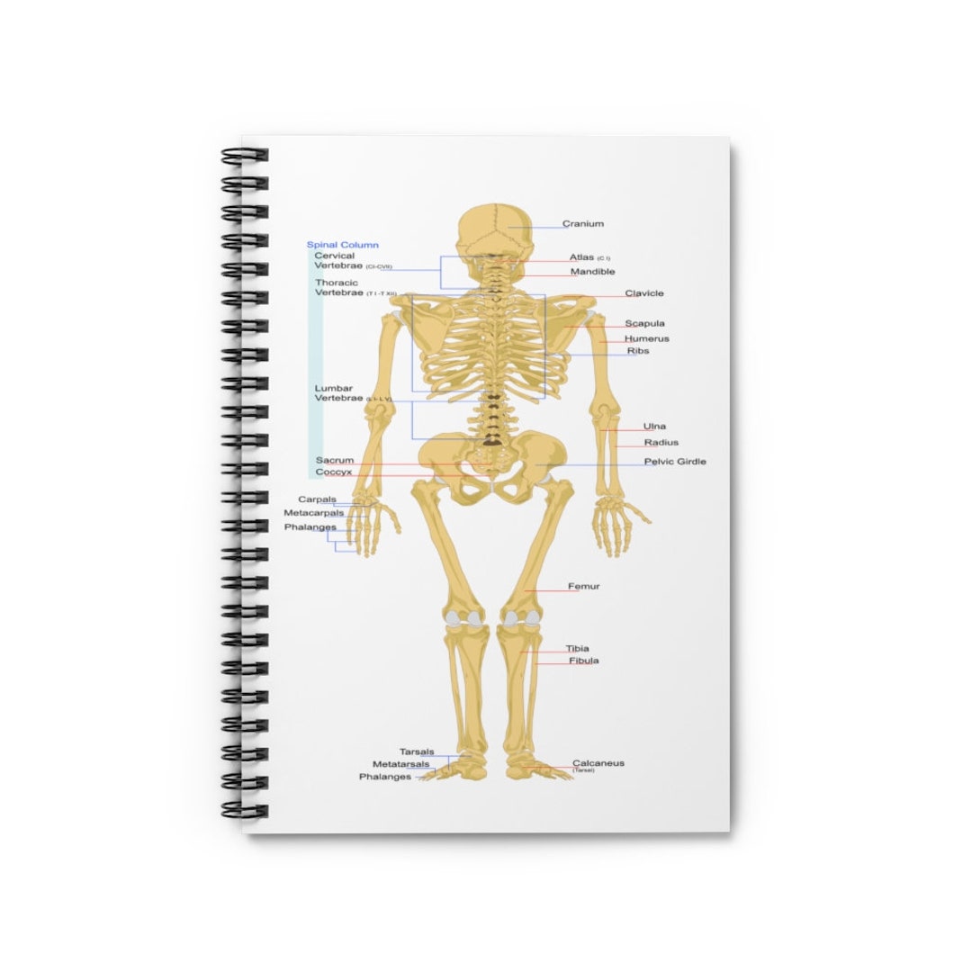Anatomy Spiral Notebook - Ruled Line 118 Blank Pages 5x7 Inches - Etsy