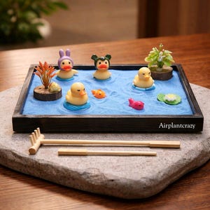 May include: A miniature zen garden with a dark wooden frame, blue sand, and several yellow rubber duckies wearing hats. The garden includes small fish, a plant, and a rake. The text "Airplantcrazy" is visible on the frame.