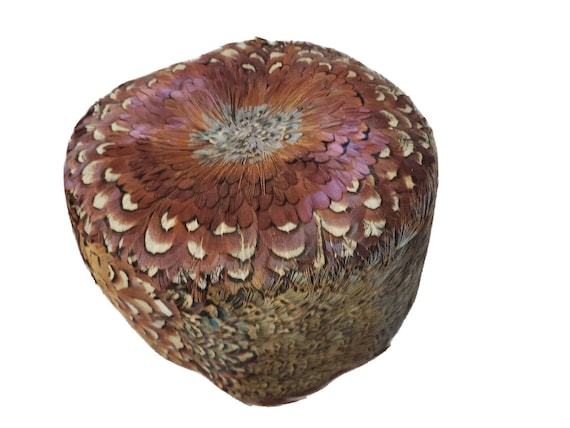 Buy VINTAGE PEACOCK PHEASANT Feather Hat Stunning Antique  display picture 2