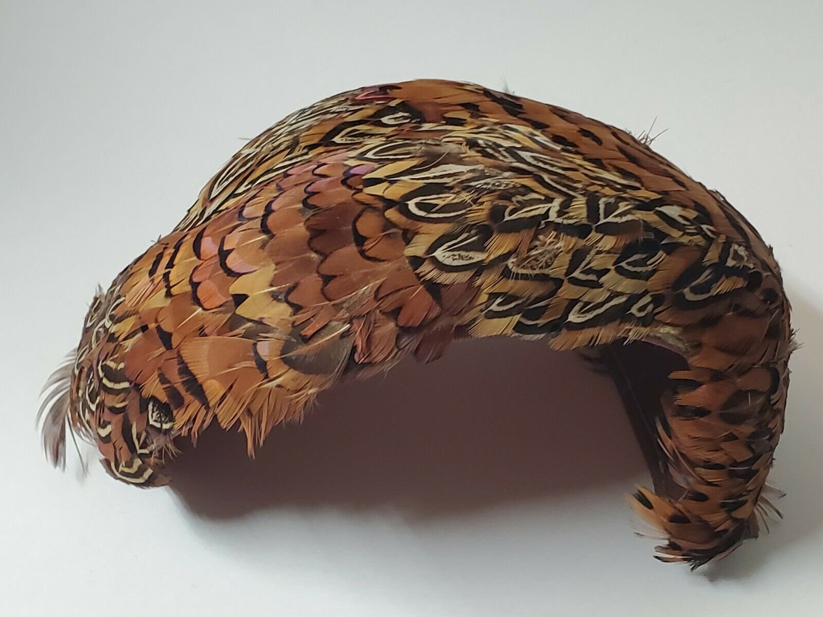VINTAGE PHESANT PEACOCK Feather Hat Stunning Antique  display picture 3