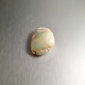 Coober Pedy Opalised Shell Fossil