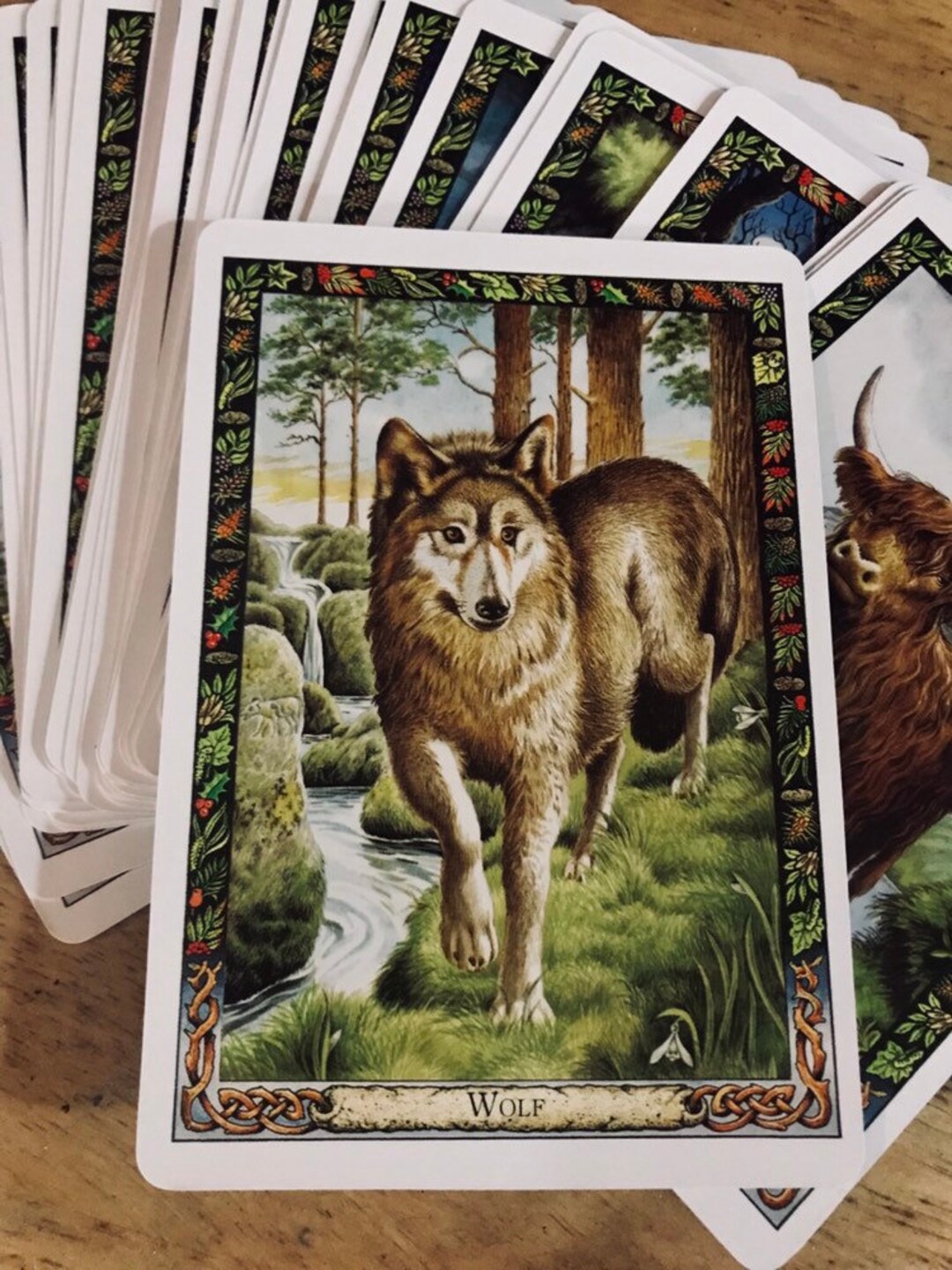Druid Animal Guide Reading - Etsy